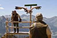 Vorschaubild, der Adler im Sturzflug auf Roy