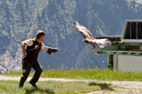 Vorschaubild, Adler im Beuteanflug kurz vor der Landung