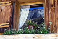 Vorschaubild, Fenster zum Glück