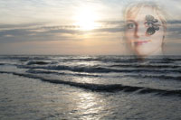 Vorschaubild, Schmetterling am Meer